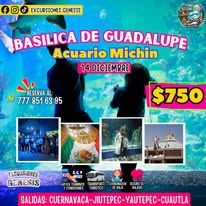 Basílica de Guadalupe y Acuario Michin